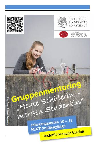gruppenmentoring gruppenmentoring